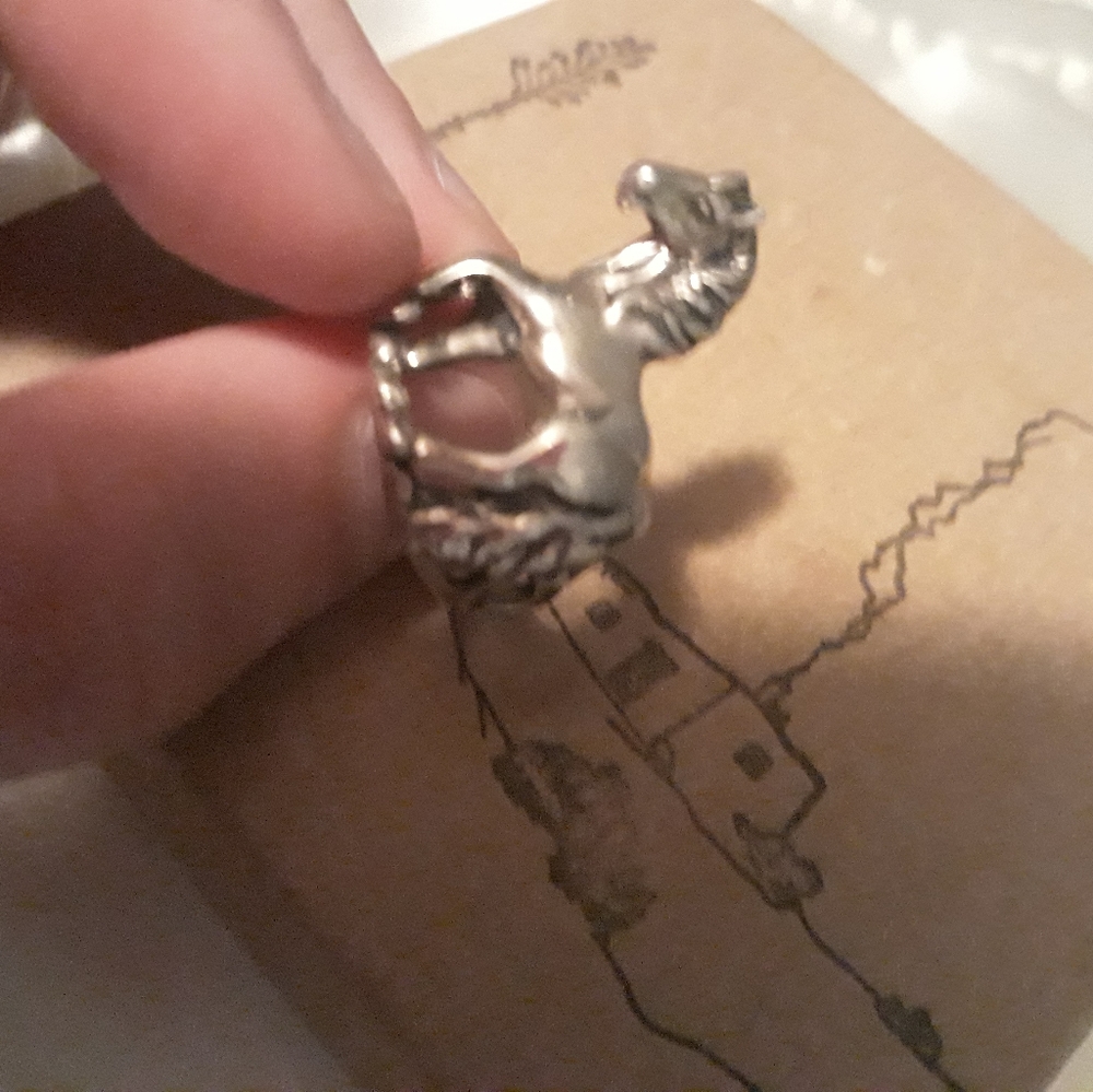 Sterling silver pony ring